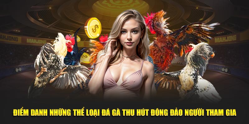 Điểm danh những thể loại Đá Gà Trực Tiếp thu hút đông đảo người tham gia