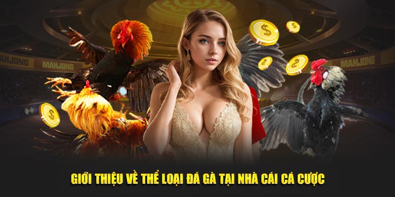 Đá Gà Trực Tiếp Yo88
